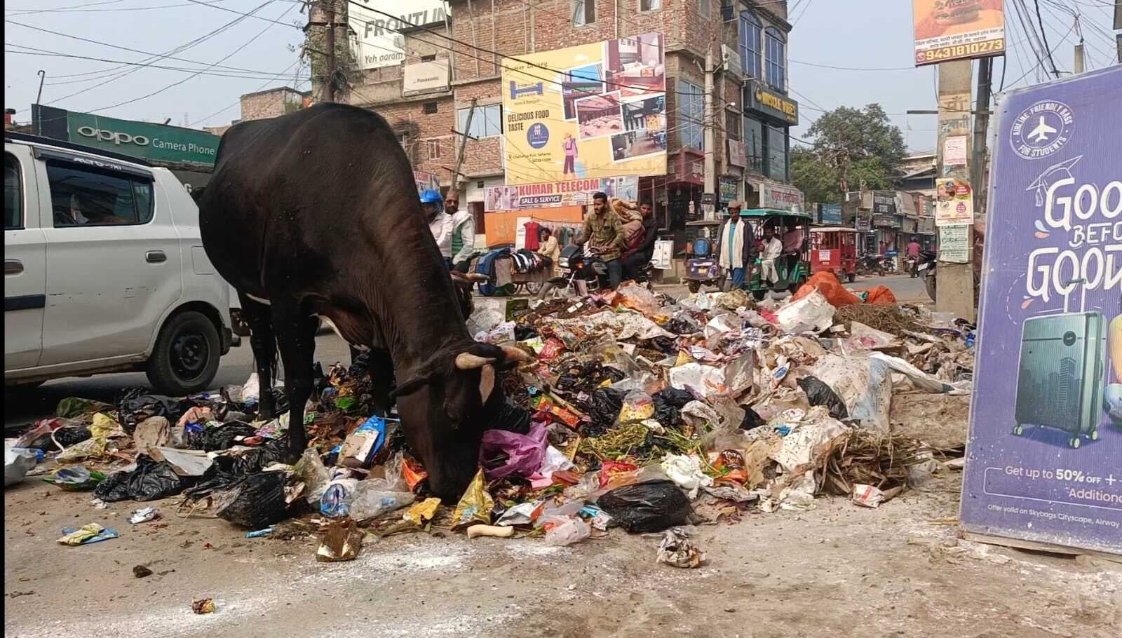 शहर में जगह-जगह कचरे एवं गंदगी का अंबार