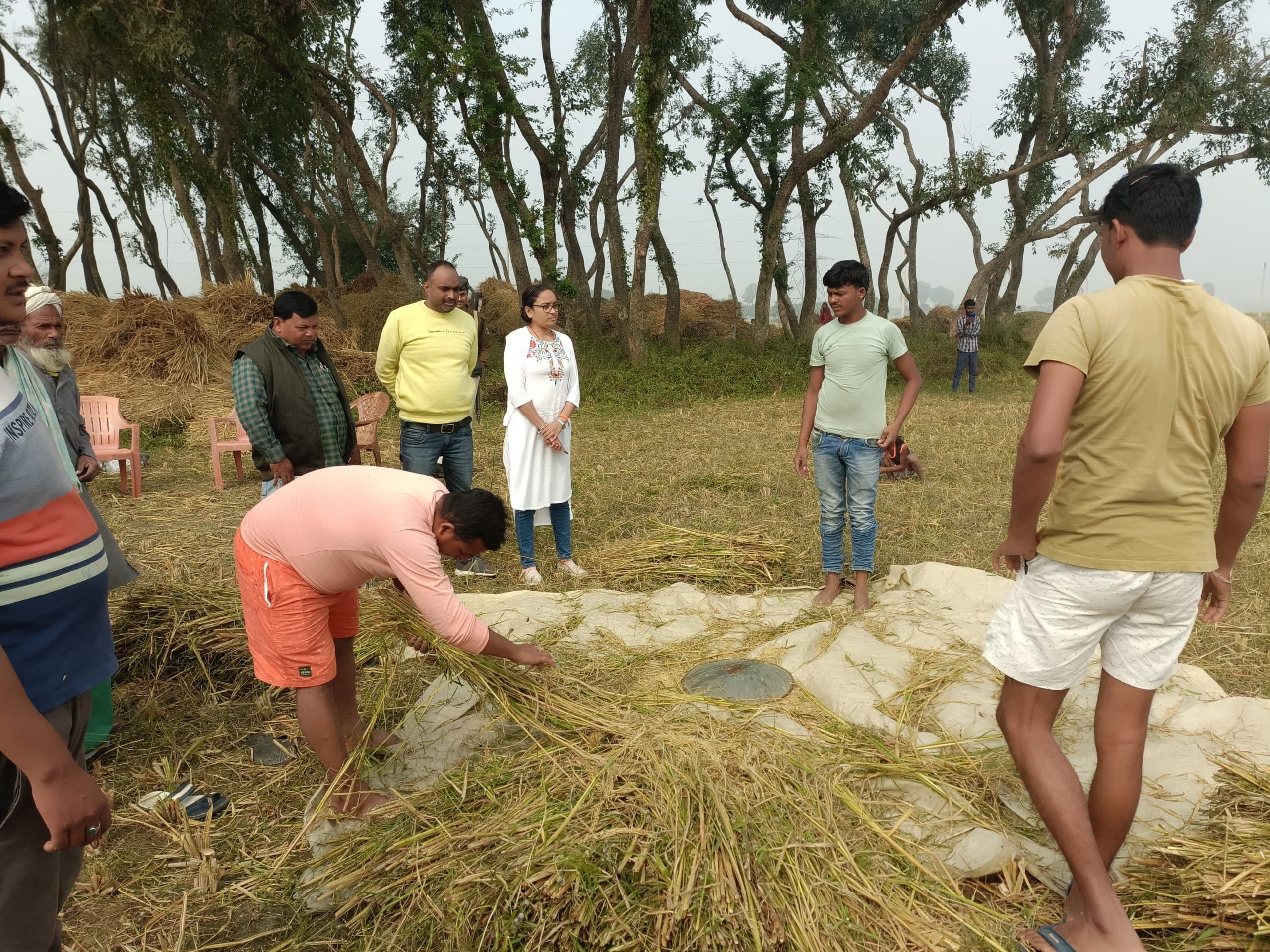 क्रॉप कटिंग कर धान की फसल का किया आकलन