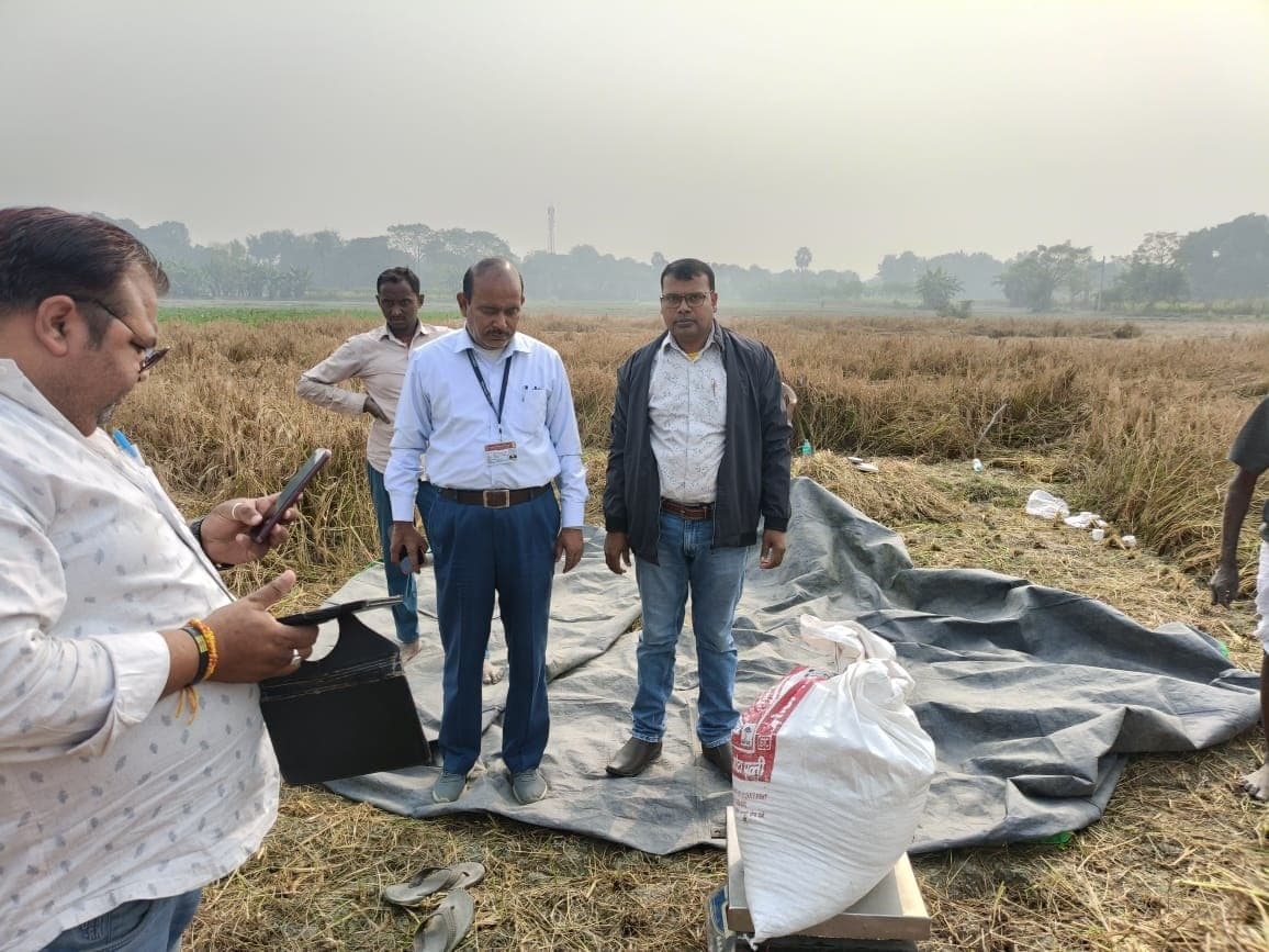 निदेशक ने धान की कटनी कराकर पैदावार का लिया जायजा