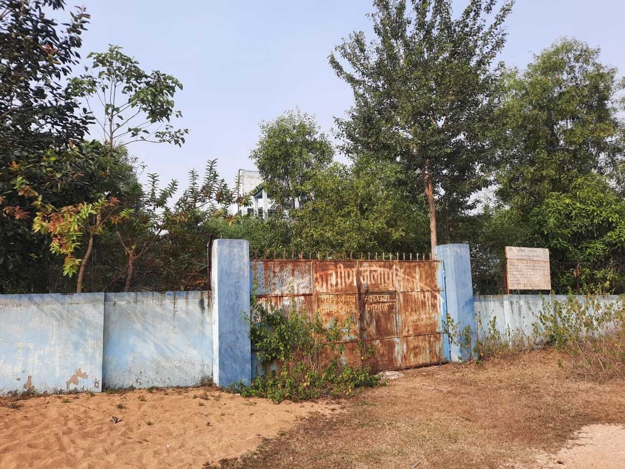 Giridih News: 11.29 करोड़ की ‘हर घर नल जल’ योजना फ्लॉप, पानी के लिए तरस रहे बाराडीह व मंझलाडीह पंचायत को लोग