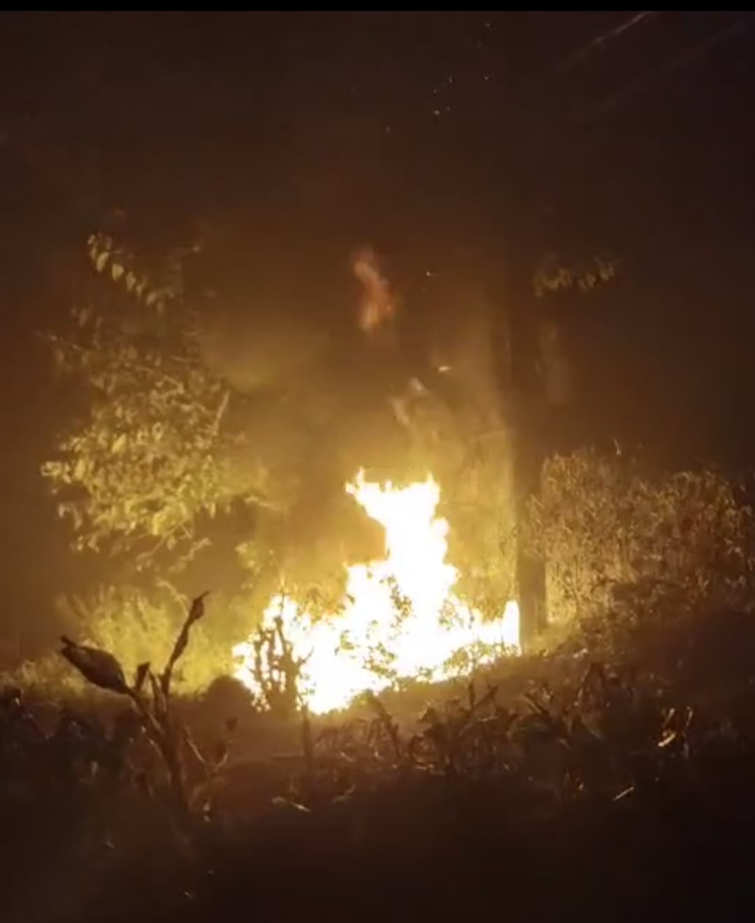 ट्रांसफार्मर से तेल की चोरी करने के दौरान लगी आग, विद्युत आपूर्ति ठप