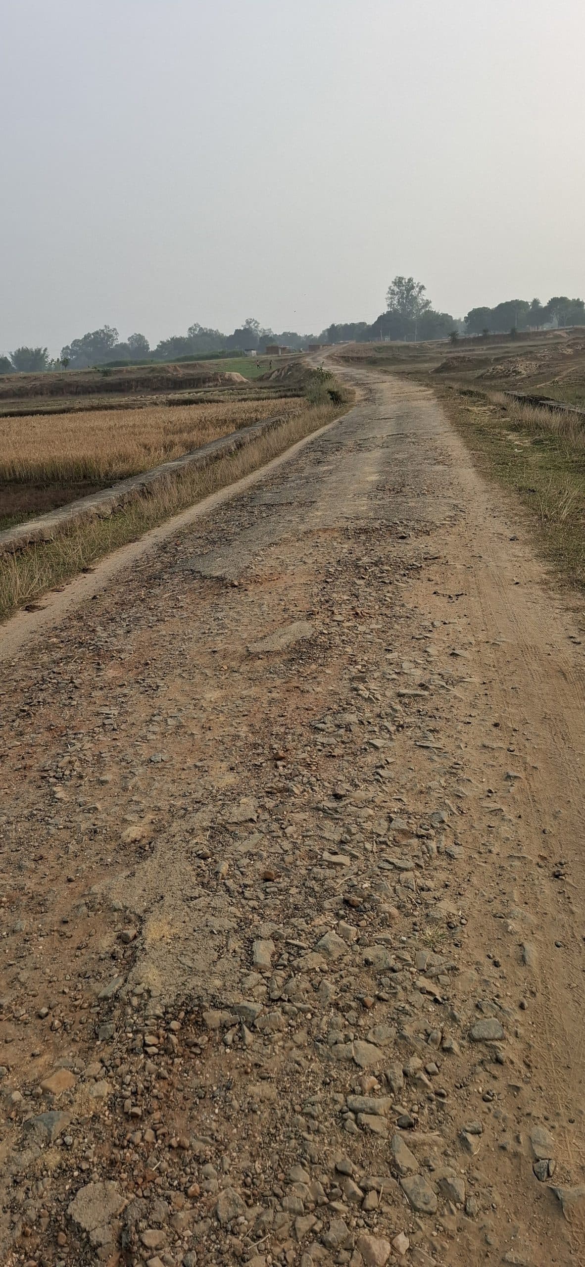 Giridih News :10 वर्षों से नहीं हुई रानीडीह-गांडो सड़क की मरम्मत