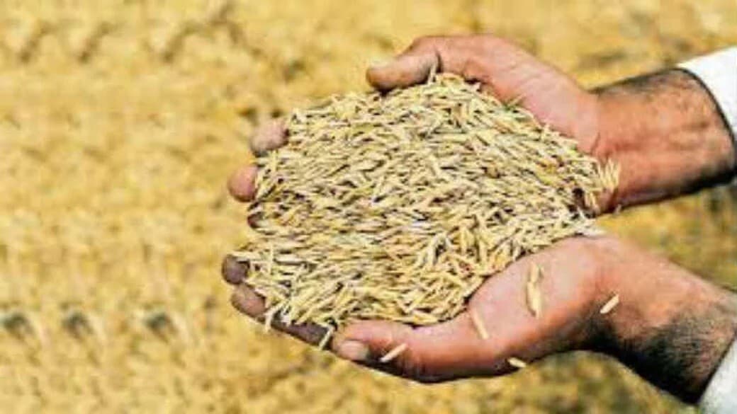 धान क्रय की तैयारी शुरू किसानों को मिलेंगे प्रति क्विंटल 2400 रुपये