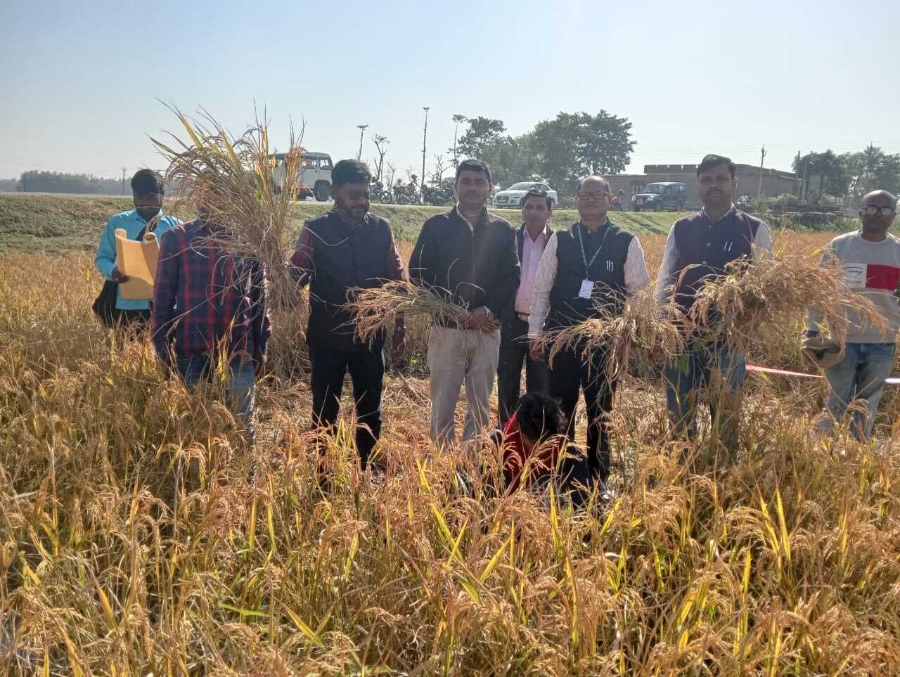 धान कटनी का किया प्रति हैक्टेयर आकलन