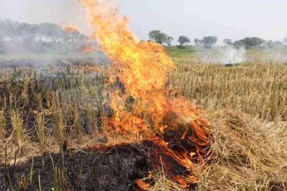East Singhbhum : बहरागोड़ा में धान काटने के बाद पराली जला रहे किसान, फैल रहा प्रदूषण
