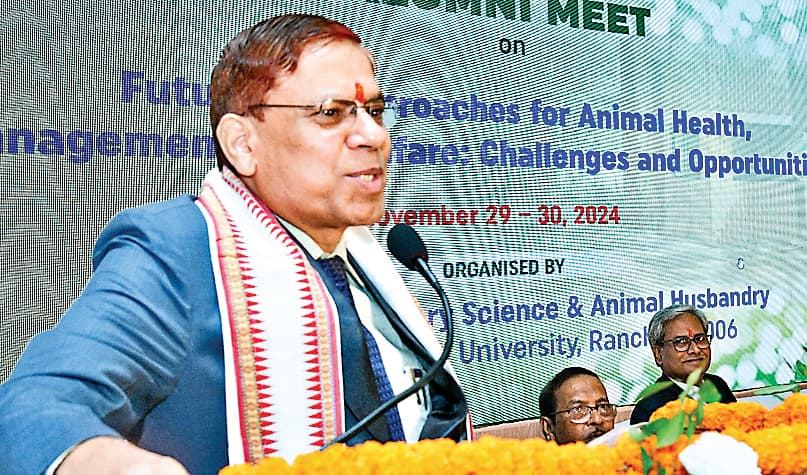 Ranchi News: पशुओं का इलाज भी सहानुभूति के साथ होना चाहिए : रिम्स निदेशक