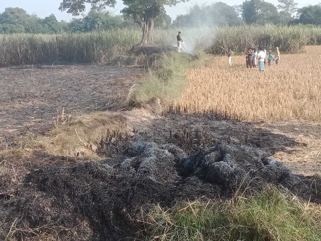 गन्ना के खेत में लगी आग से लाखों रुपये का गन्ने का फसल जलकर राख