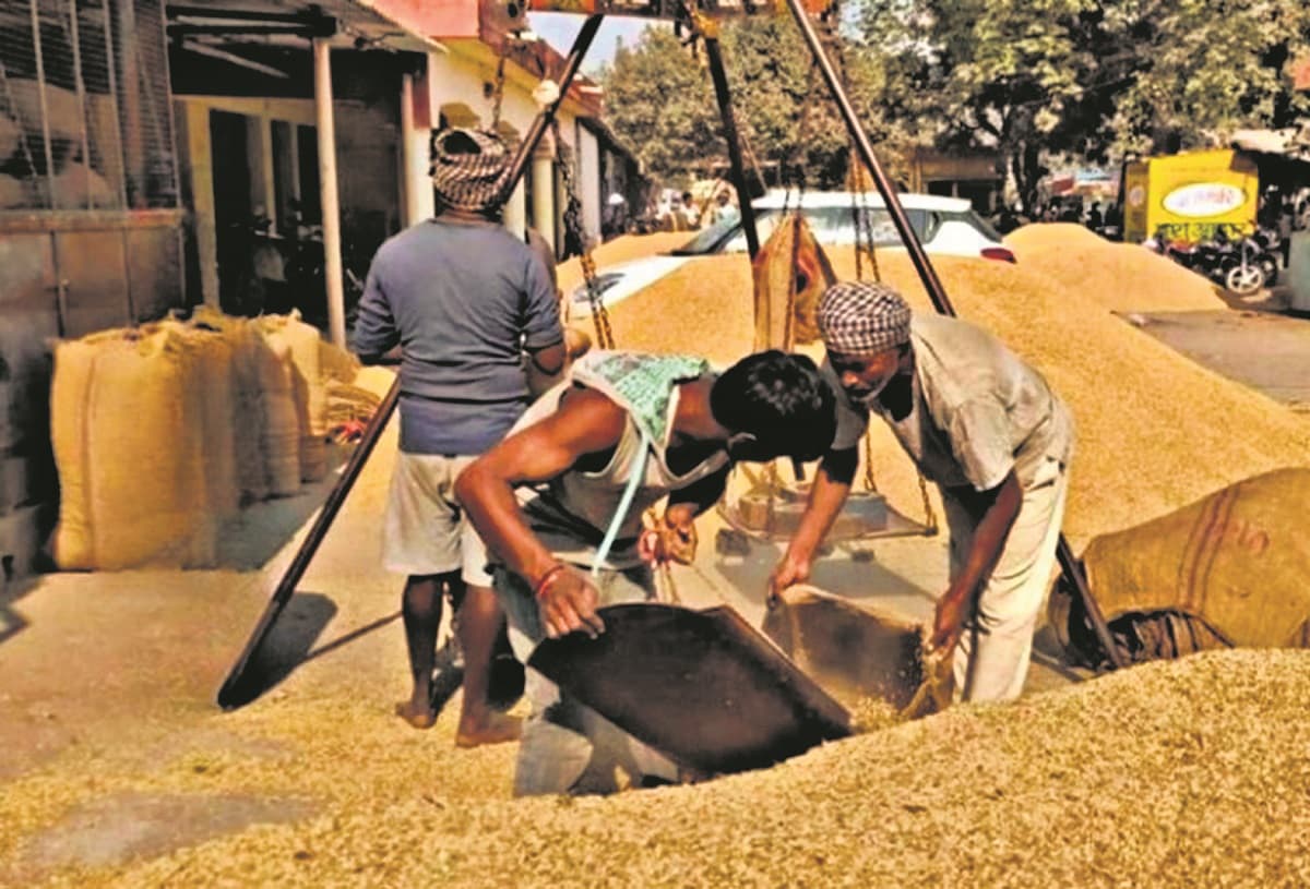 Munger news : धान की खरीद नहीं पकड़ रही रफ्तार, अन्नदाता परेशान