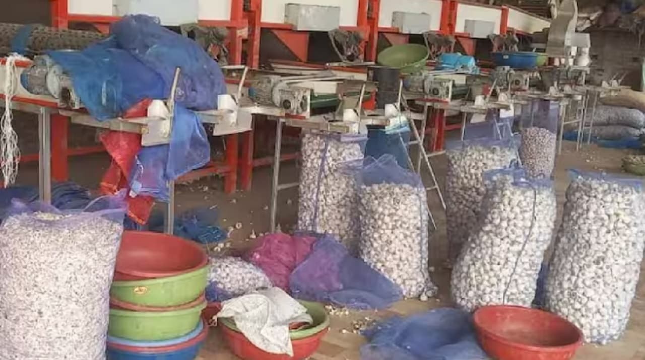 बिहार में ट्रक लेकर आये लुटेरे, 25 लाख का लहसुन लूट कर हुए फरार, जांच में जुटी पुलिस