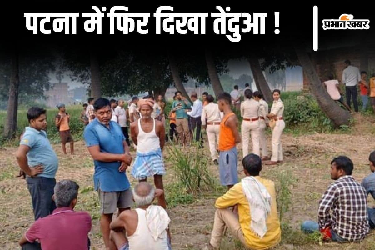 पटना में फिर दिखा तेंदुआ, खौफ के साये में ग्रामीण, सूर्य मंदिर के पास छठ पूजा पर भी संशय!