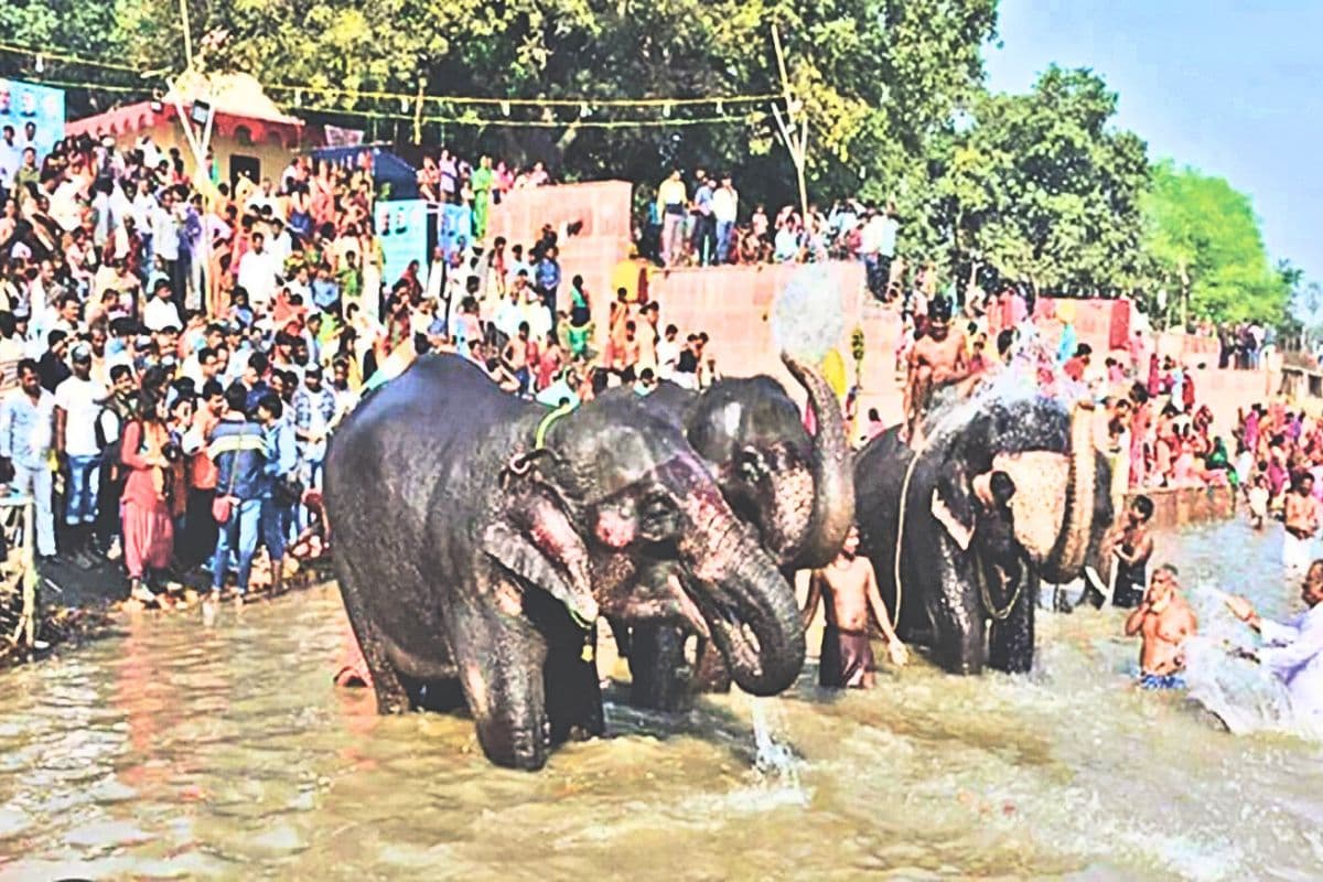 Sonepur Mela: सोनपुर मेले में इस बार क्या है खास? जानिए मनोरंजन से लेकर सांस्कृतिक कार्यक्रमों तक क्या हैं तैयारियां