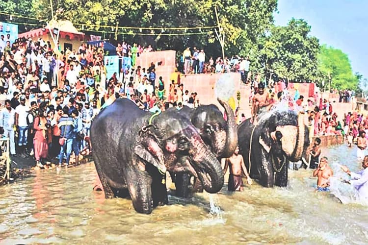 Sonepur Mela: सोनपुर मेले में इस बार क्या है खास? जानिए मनोरंजन से लेकर सांस्कृतिक कार्यक्रमों तक क्या हैं तैयारियां