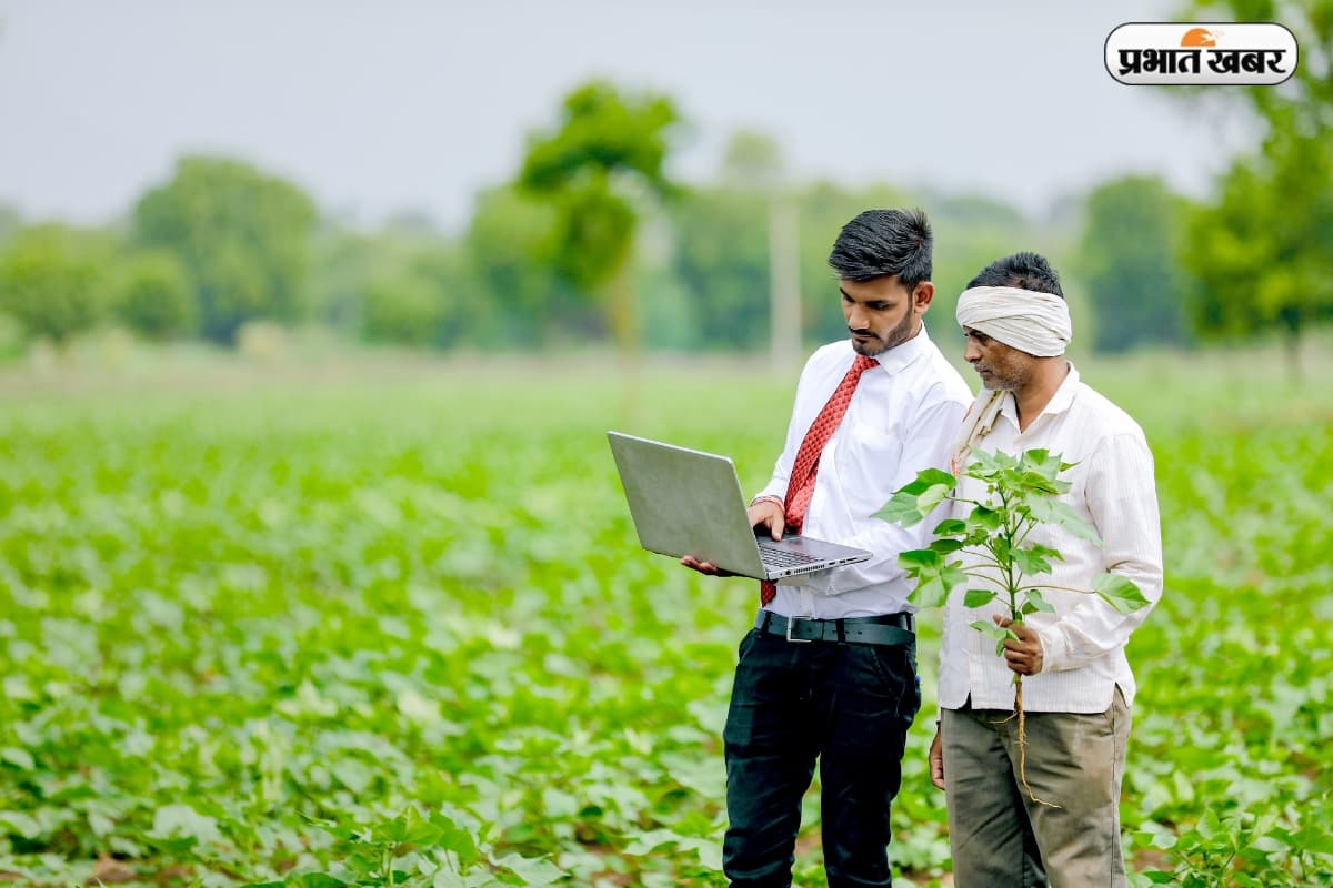 30 लाख से ज्यादा किसानों की बल्ले-बल्ले, आज खाते में ट्रांसफर होंगे 3200 करोड़ रुपए