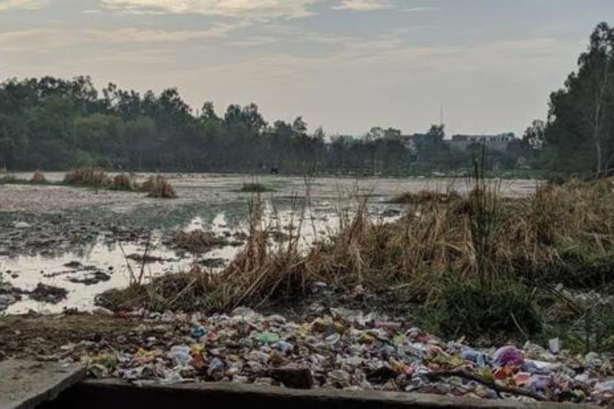 Wastelands in India: आजादी के 75 साल बाद "वेस्टलैंड्स" (बंजर भूमि) जैसी शब्दावली को फिर से परिभाषित करने का समय 