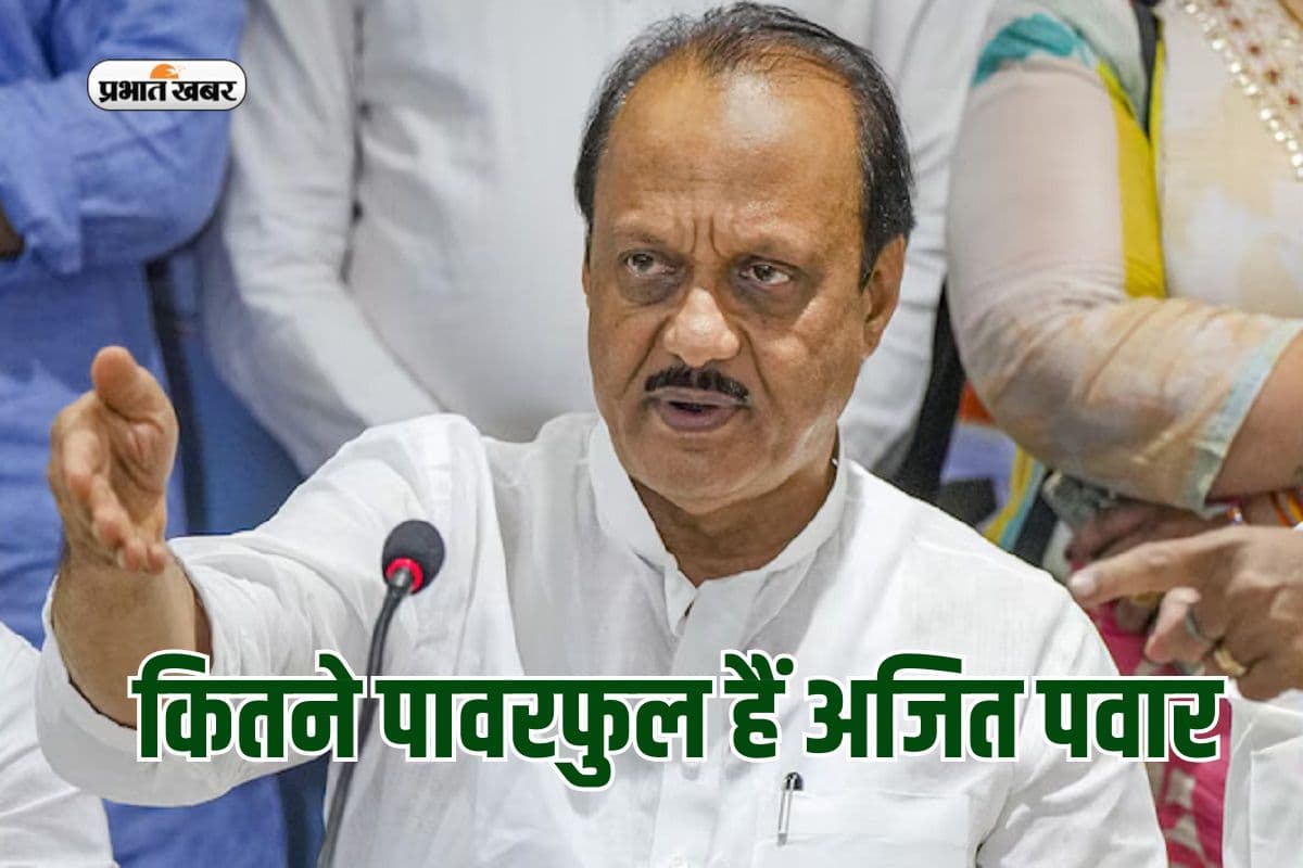 संपत्ति के मामले में कितने पावरफुल हैं अजित पवार? बचत योजनाओं में 10,79 करोड़ का निवेश