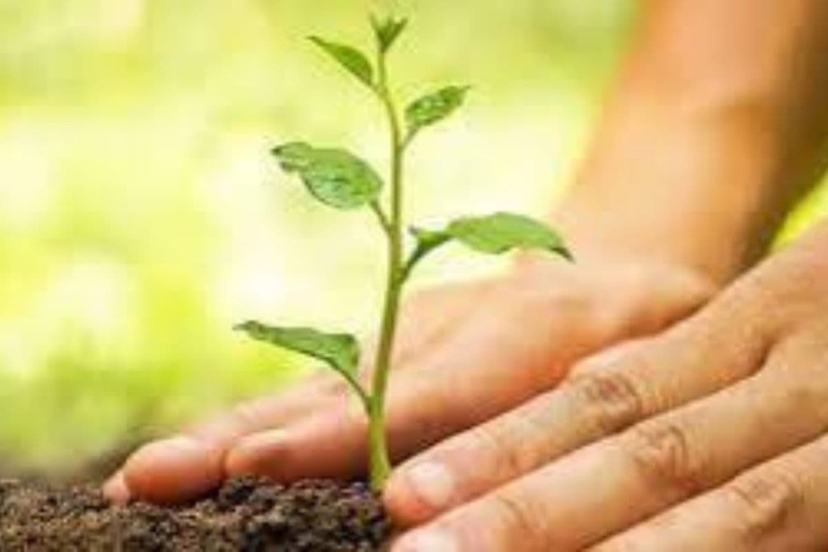 मुजफ्फरपुर में प्रदूषण से जंग, पौधरोपण और जागरूकता अभियान से बदल रही है हवा