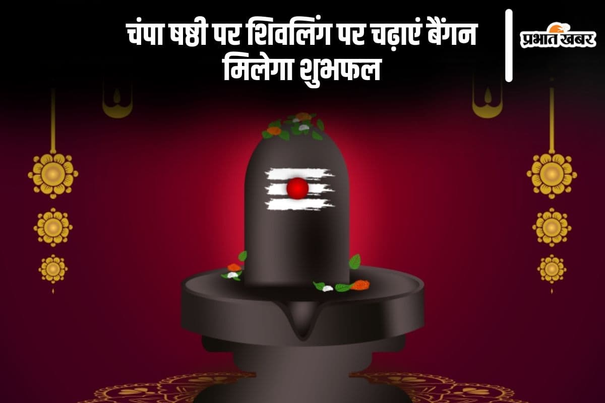 Champa Shashti 2024: चंपा षष्ठी पर शिवलिंग पर चढ़ाएं बैंगन, मिलेगा ये लाभ