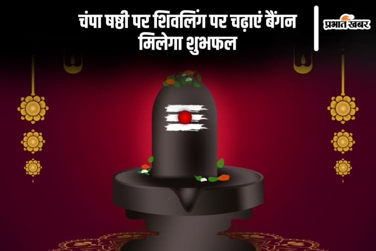 Champa Shashti 2024: चंपा षष्ठी पर शिवलिंग पर चढ़ाएं बैंगन, मिलेगा ये लाभ