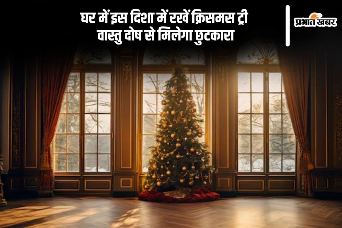 Christmas 2024 Vastu Tips: घर में इन जगहों पर रखें क्रिसमस ट्री, वास्तु दोष होगा दूर