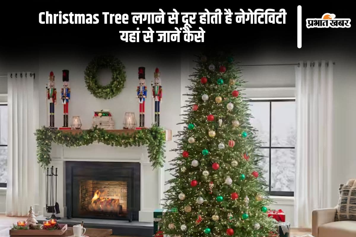 Christmas Tree Vastu Tips: क्रिसमस ट्री लगाने से दूर होता है वास्तु दोष, यहां से जानें