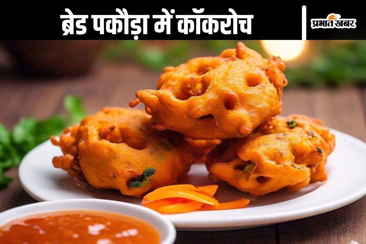 Viral Video : ब्रेड पकौड़ा विद छोटा कॉकरोच! कैसा लगा सुनकर