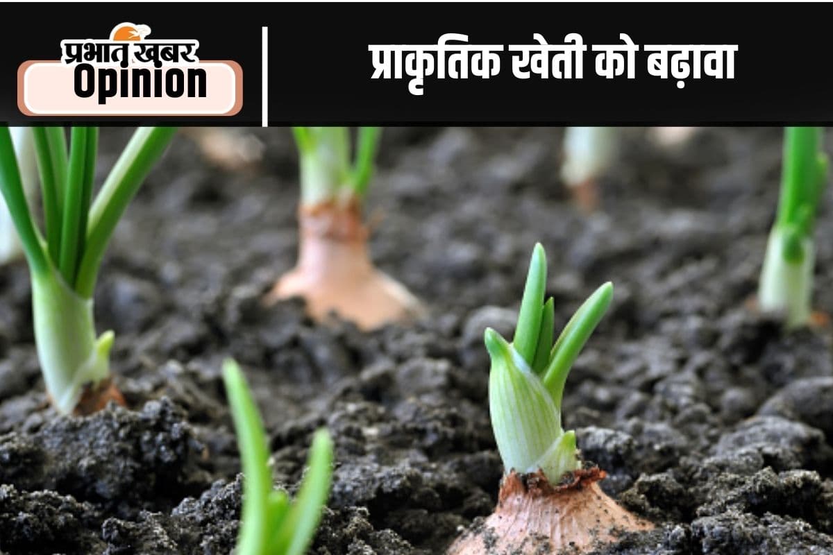 प्राकृतिक खेती को चरणबद्ध तरीके से ही बढ़ावा मिले