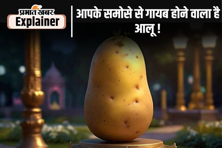 Potato Price : आलू की कीमत 40-50 रुपए प्रति किलो तक पहुंची, बंगाल को क्यों दोषी ठहरा रहे ओडिशा और झारखंड?