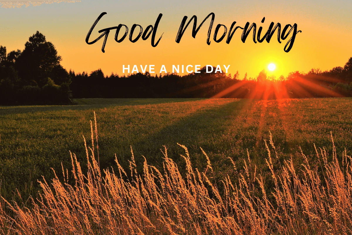 Good Morning Images With Caption: सुप्रभात- एक नई शुरुआत के साथ जिएं जीवन