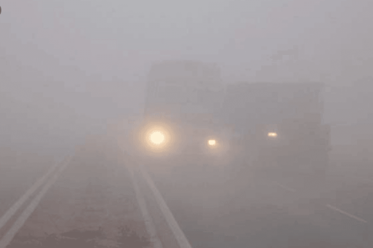 Muzaffarpur Weather: कोहरे की चादर में लिपटा शहर, वायु की खराब गुणवत्ता ने बढ़ाई चिंता, जानिए आज का मौसम अपडेट
