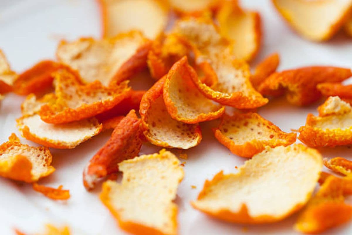 Orange Peel Benefits: स्किन के लिए बहुत फायदेमंद है संतरे का छिलका, जानकर दंग रह जाएंगे आप