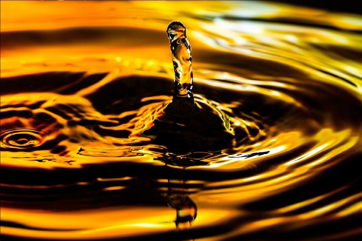 पेट्रोल-डीजल की कीमतें बढ़ीं? यहां चेक करें झारखंड-बिहार और यूपी का भाव