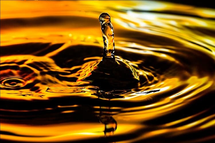 पेट्रोल-डीजल की कीमतें बढ़ीं? यहां चेक करें झारखंड-बिहार और यूपी का भाव