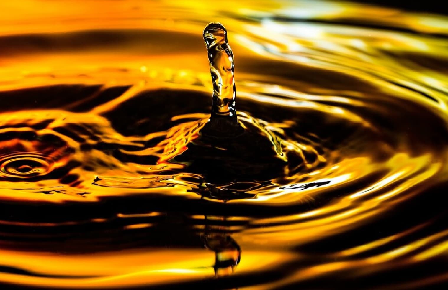 Petrol Diesel Price: तेल कंपनियों ने पेट्रोल-डीजल की कीमतों कर दिया जारी, फटाफट चेक कीजिए कि कितना बढ़ा दाम