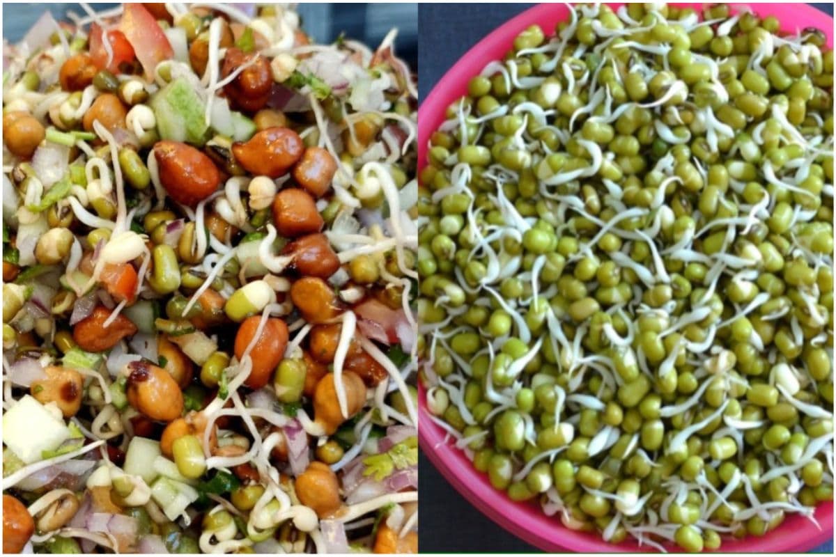 नाश्ते या टिफिन के लिए अंकुरित मूंग से बनाएं ये पौष्टिक और स्वादिष्ट व्यंजन