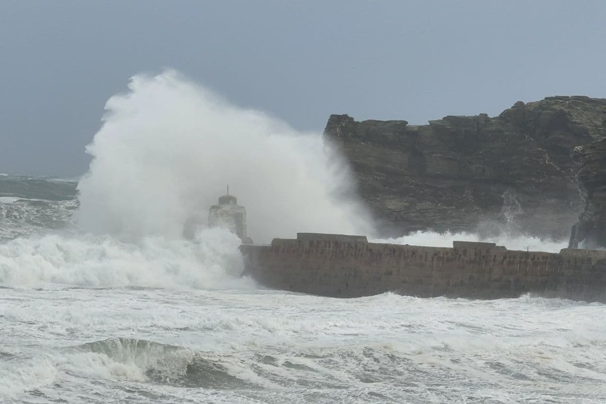 Storm Darragh: चक्रवाती तूफान दर्राघ ने मचाई भारी तबाही, शहर ब्लैकआउट, ट्रेनें रद्द