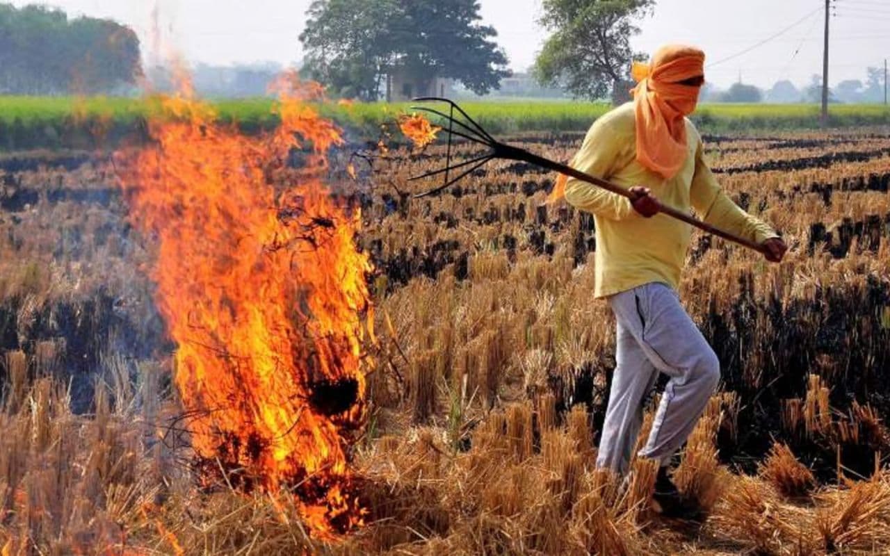 Bihar News: किसानों को खेतों में पुआल जलाते सेटेलाइट ने पकड़ा, अब होगी कार्रवाई
