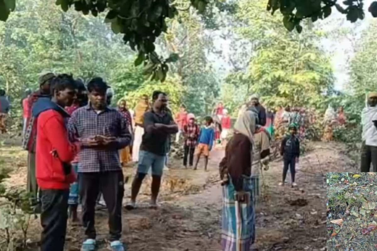 Jharkhand News: गढ़वा में गजराज का आतंक, ग्रामीण महिला को कुचल कर मार डाला, 8 की ले चुका है जान