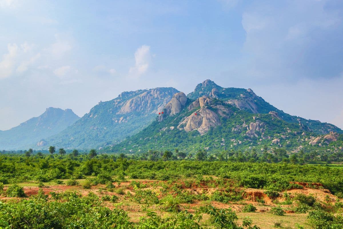 अंतरराष्ट्रीय पर्वत दिवस आज: डिप्रेशन दूर करते हैं पहाड़, जानें कैसे करें इसका संरक्षण