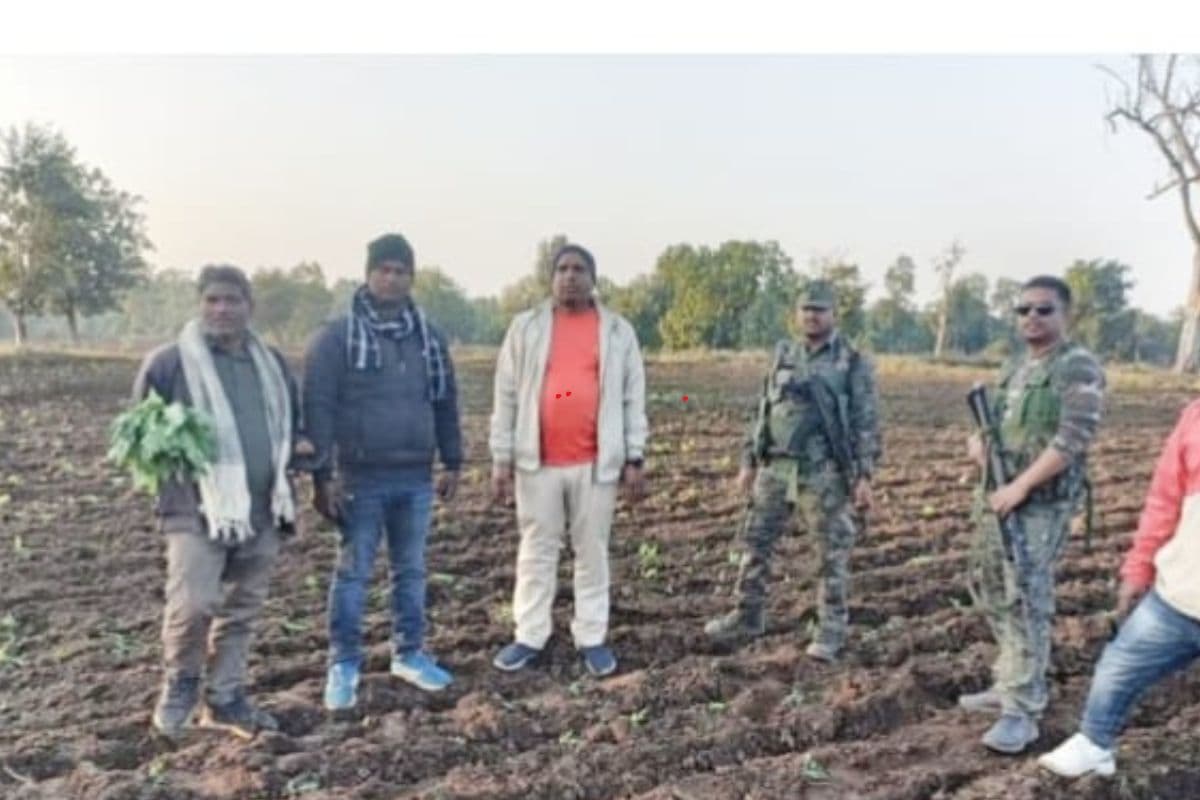 पलामू में नशा के कारोबार पर बड़ा प्रहार, पुलिस और वन विभाग ने अफीम की खेती को किया नष्ट