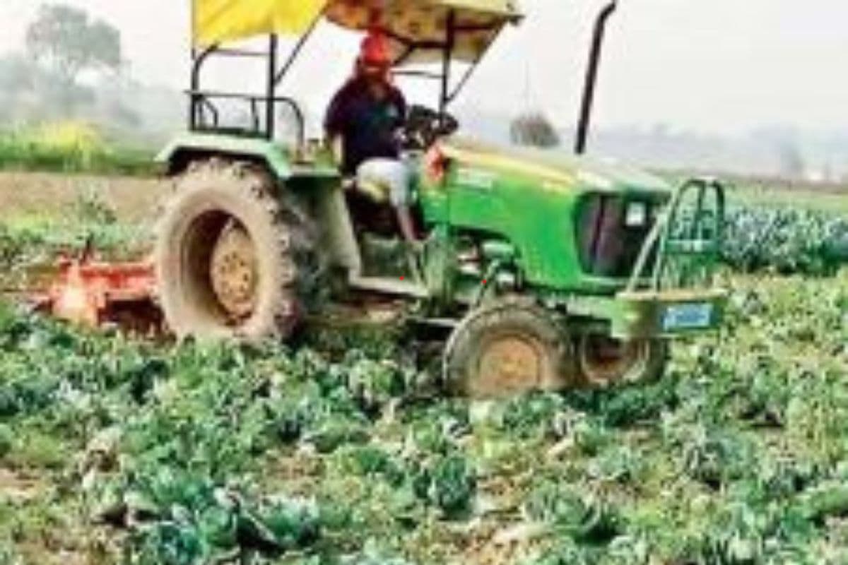झारखंड में गोभी दो रुपये किलो, निराश किसान ने ट्रैक्टर से फसल को रौंदा