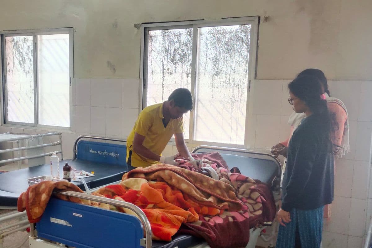 गुमला के जंगल में लकड़ी चुन रही महिला पर भालुओं का हमला, हालत गंभीर, वन विभाग ने दिए 10 हजार रुपए