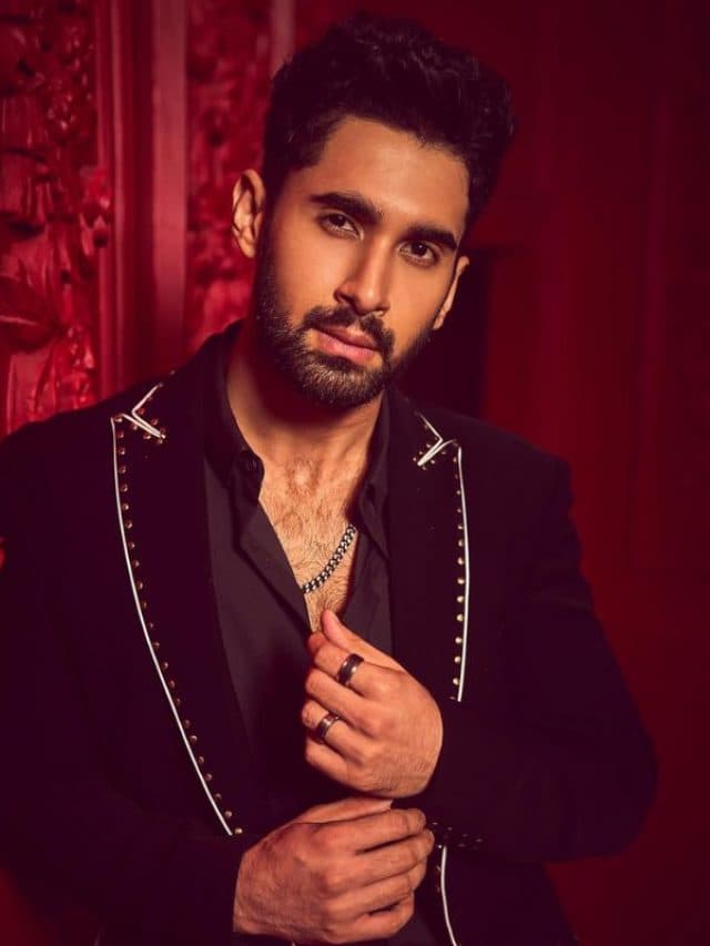 साल 2024 में इन एक्टर्स ने किया अपना बॉलीवुड डेब्यू