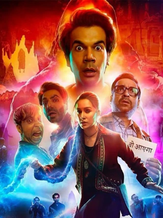 साल 2024 में बॉक्स ऑफिस पर रहा इन हिंदी फिल्मों का बोलबाला