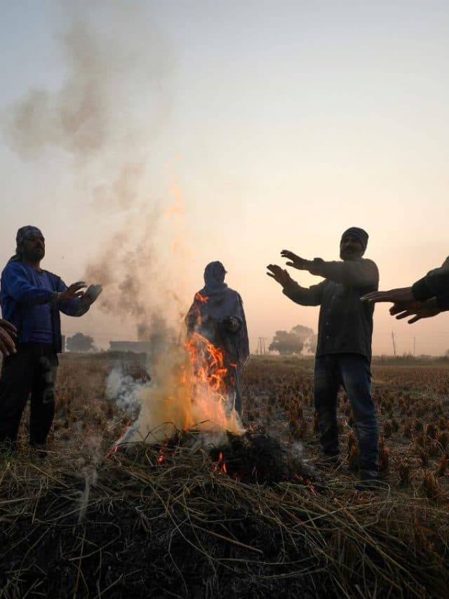 दिल्ली-यूपी समेत इन राज्यों में शीतलहर का प्रकोप, यहां होगी बारिश