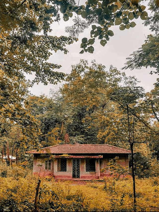 बस, ट्रेन या बाइक से घूम आईए झारखंड के लंदन, रांची से इतनी है दूरी