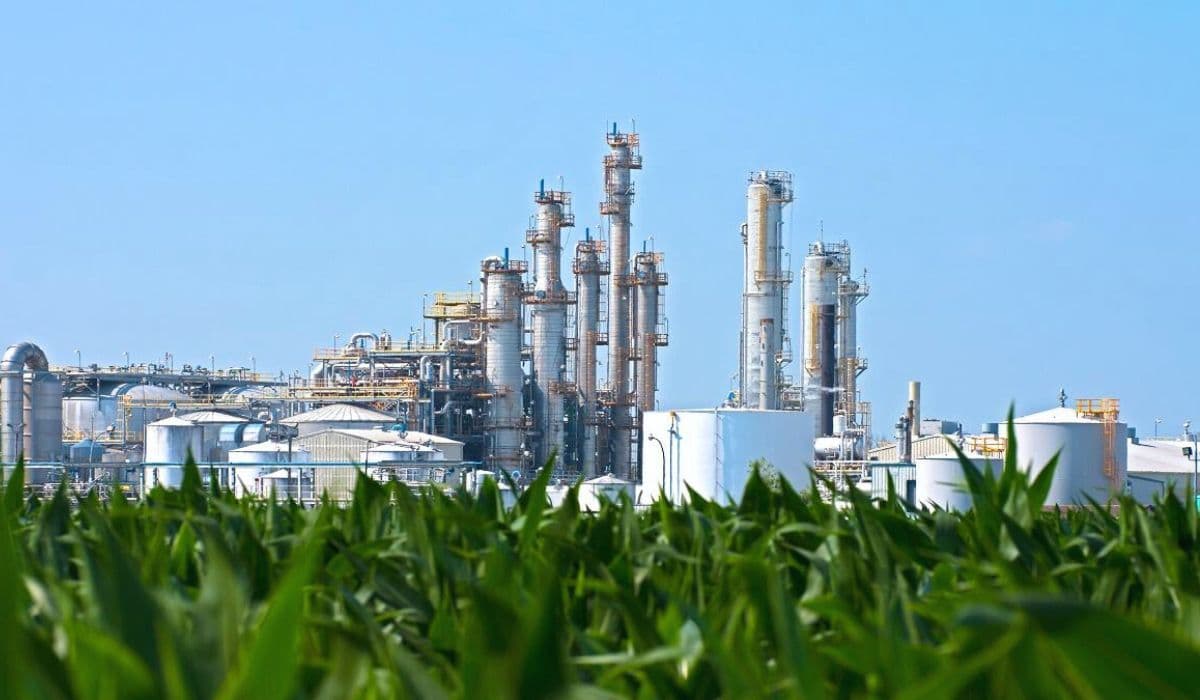 बिहार में 50 दिनों में लगेंगी 15 नई फैक्ट्रियां, उद्योग मंत्री की घोषणा पर जनता ने पूछा- कितना होगा इन्वेस्ट