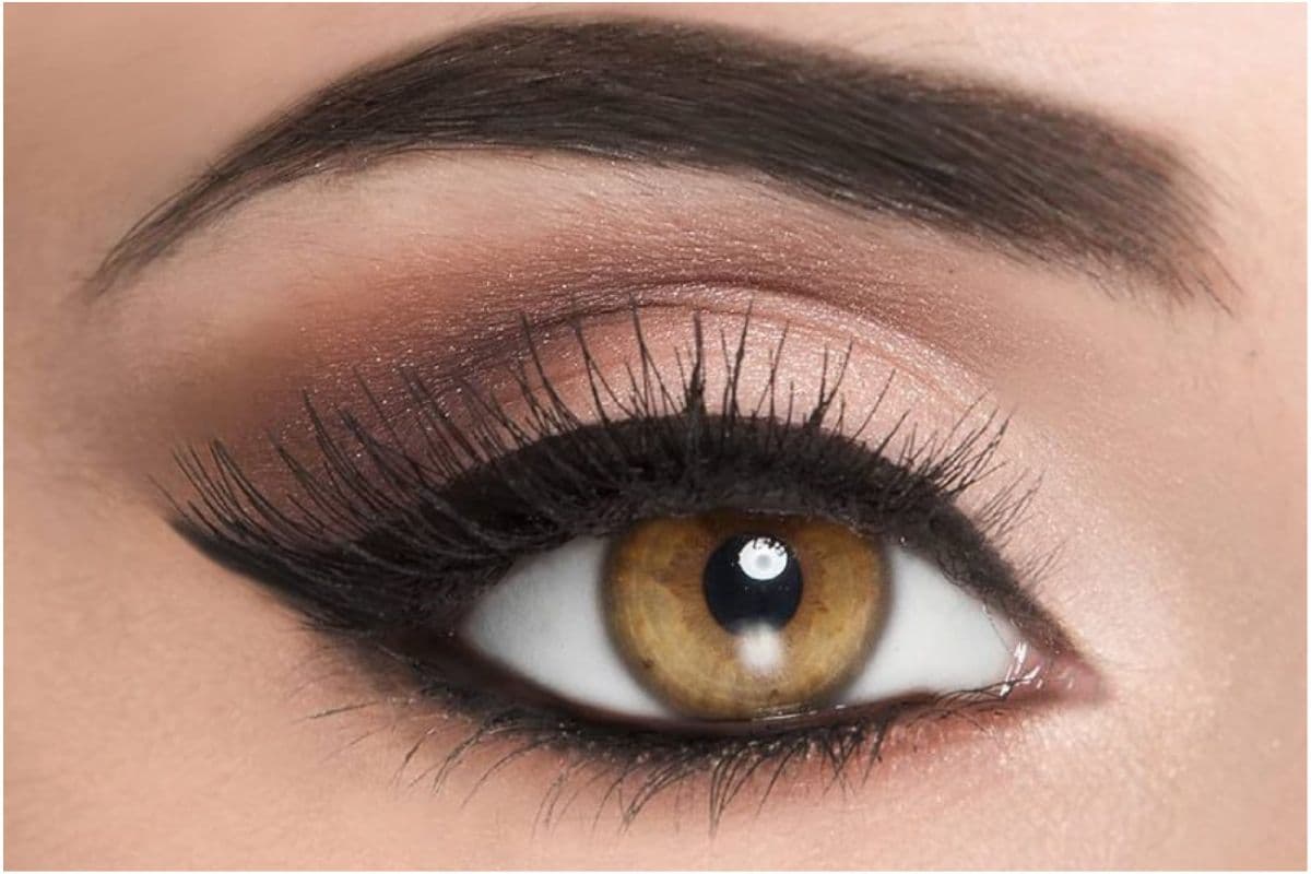 Personality Based on Eyebrow Shape : सटी हुई आइब्रो वाले लोग होते हैं ऐसे, जानें उनके अद्भुत गुण