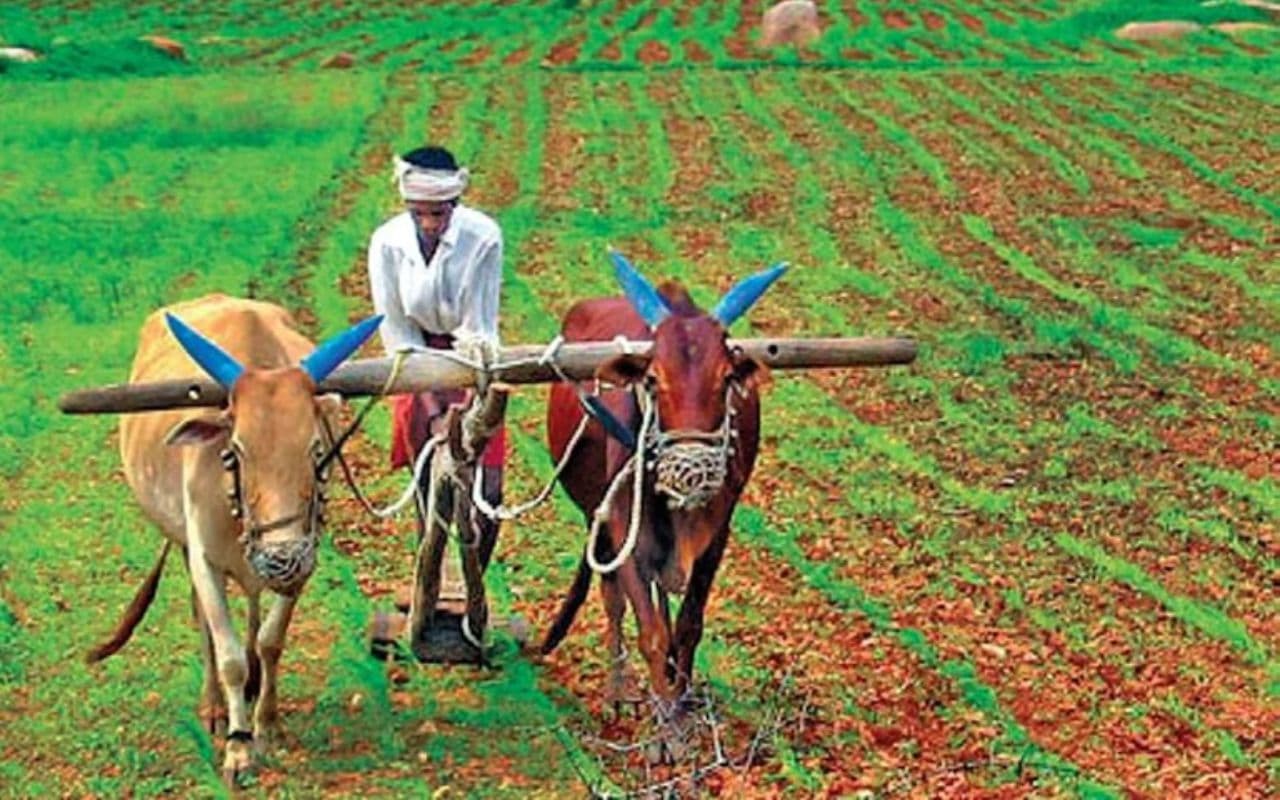 Bihar Land: लगान वसूली में जुटी सरकार, इस तारीख तक नहीं चुकाया तो नीलाम होगी रैयतों की जमीन