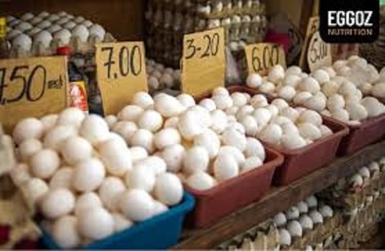 Ranchi News : सर्दी में अंडे की बढ़ी डिमांड, आठ रुपये पीस बिक रहा