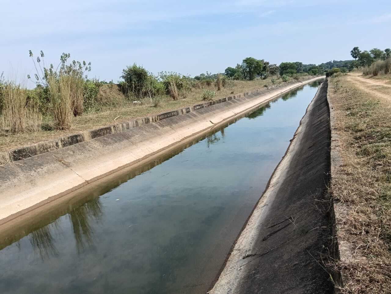 Dumka News: रबी खेती के लिए नहर से छोड़ा गया 50 क्यूसेक पानी